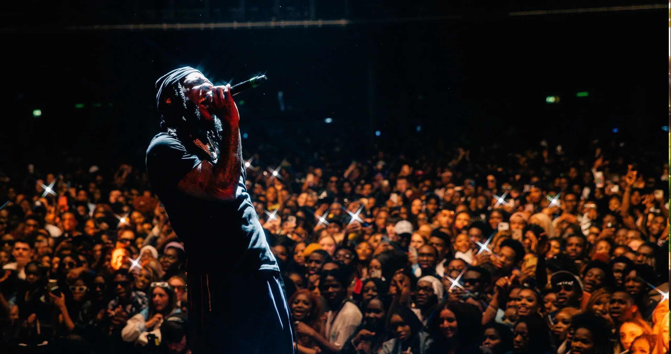 Ruby Vibe Bundle Background